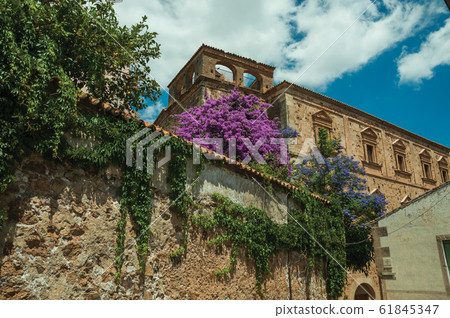 Old stone buildings with flowering trees in Caceres 61845347