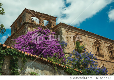 Old stone buildings with flowering trees in Caceres Old stone buildings with flowering trees in Caceres 61845348