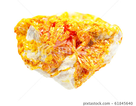 druse of Orpiment crystals on rock isolated 61845640