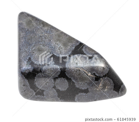 polished Variolite rock isolated on white 61845939