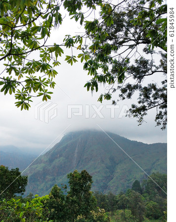 Little Adam peak, mountain in the fog view from 61845984