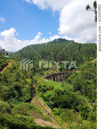Top view of the railway in the jungle and the Top view of the railway in the jungle and the 61845985
