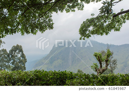 Mountain landscape, green slopes. Beauty of Mountain landscape, green slopes. Beauty of 61845987