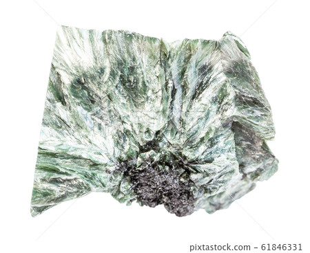 Clinochlore (chlorite) rock isolated on white 61846331