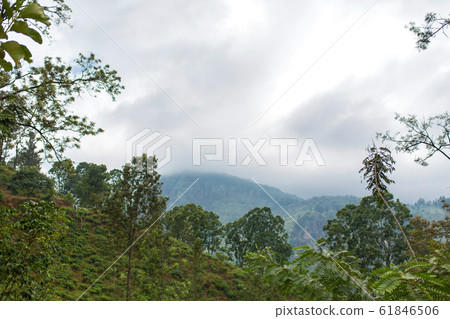 Mountain landscape, green slopes. Beauty of Mountain landscape, green slopes. Beauty of 61846506