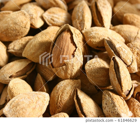 堅果 61846629