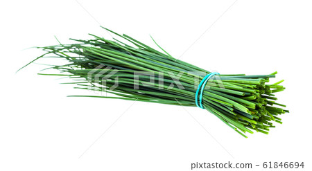 bundle of fresh leaves of Chives isolated on white bundle of fresh leaves of Chives isolated on white 61846694