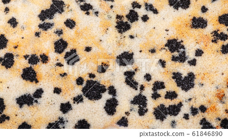 panoramic background from polished Dalmatian Stone panoramic background from polished Dalmatian Stone 61846890
