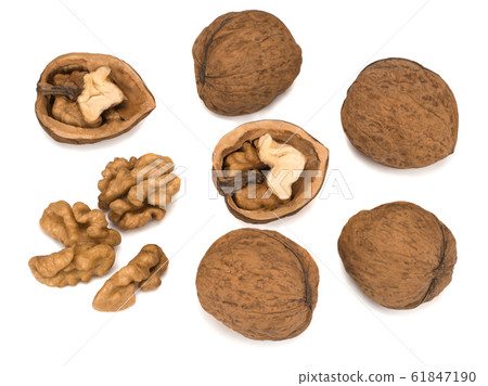 walnut and cracked walnut isolated on white background 61847190