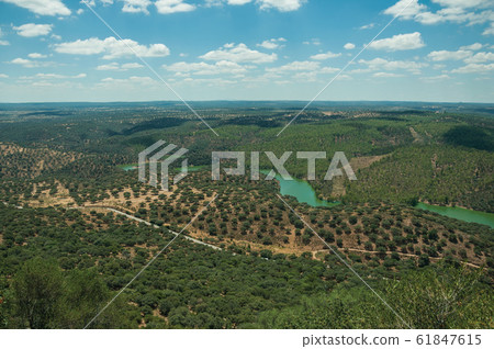 Tagus River in a valley with hills at the Monfrague National Park Tagus River in a valley with hills at the Monfrague National Park 61847615