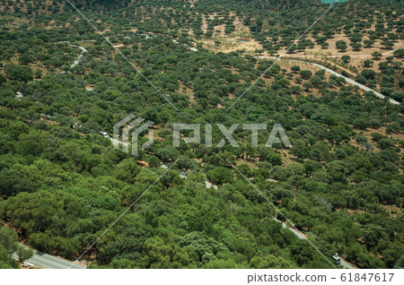 Road passing through hills covered by trees at the Monfrague National Park Road passing through hills covered by trees at the Monfrague National Park 61847617