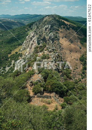 Peak with rocky cliffs covered by trees at the Monfrague National Park 61847622