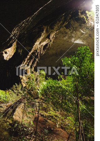 View inside Deer cave in Gunung Mulu National Park 61847805