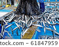 鯖魚著陸2 61847959