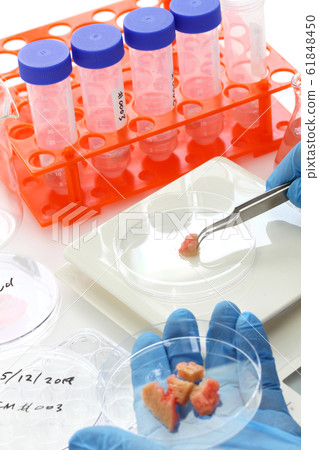 養殖肉類準備圖像 61848450