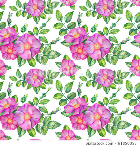 Watercolor seamless pattern with rose hips. Watercolor seamless pattern with rose hips. 61850055