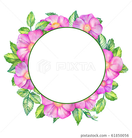 Watercolor wreath with wild rose. Watercolor wreath with wild rose. 61850056