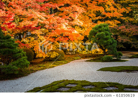 Autumn leaves in the east garden of Nanzenji pagoda, Tenjoan Autumn leaves in the east garden of Nanzenji pagoda, Tenjoan 61850619