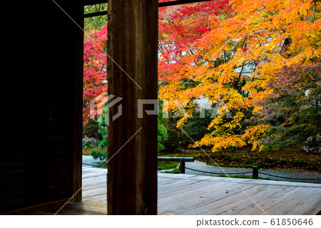 Autumn leaves, Hojo and vestibule of Nanzenji pagoda and Tenjoan 61850646