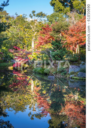 Autumn leaves, etc., Shinji pond in autumn Autumn leaves, etc., Shinji pond in autumn 61850690