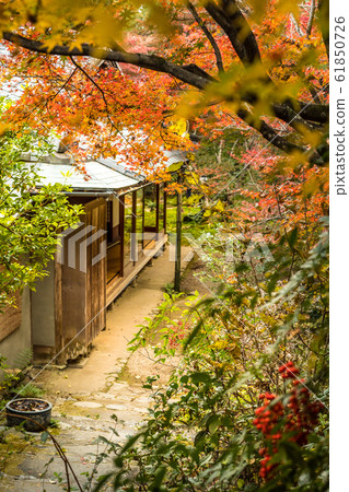 Seien-an, autumn view of the garden 61850726