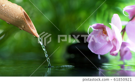 A stream of water flowing out of bamboo tube 61850921
