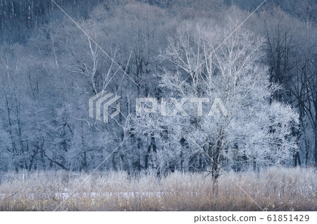  Foggy ice 61851429