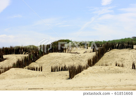Dunes 61851608