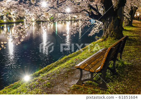 弘前公園西b春天櫻花夜點亮美麗美麗的季節形象旅行東北地區弘前市青森縣 61851684