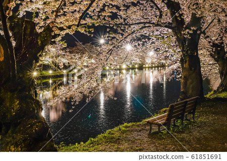 弘前公園西b春天櫻花夜點亮美麗美麗的季節形象旅行東北地區弘前市青森縣 61851691
