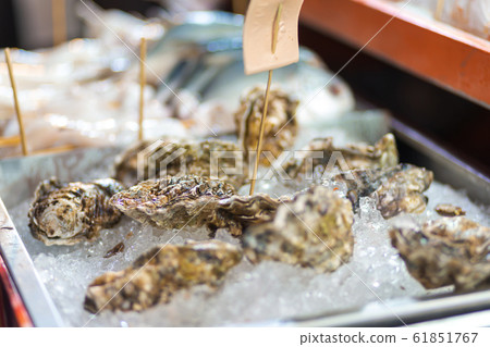Fresh oysters at the food market. Fresh seafood 61851767