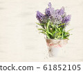 Watercolor painting Beautiful purple wildflowers 61852105