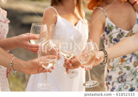 The company of female friends enjoys a summer The company of female friends enjoys a summer 61852333