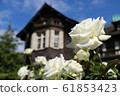 Roses and Western-style houses 61853423