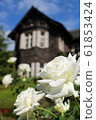 Roses and Western-style houses 61853424