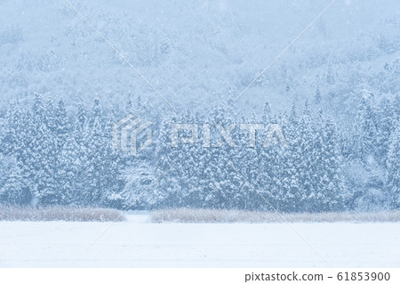 Winter in the snow country 61853900