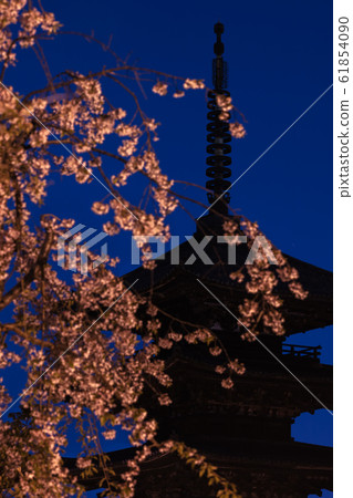 京都府北漢寺櫻 61854090