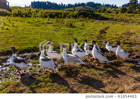 Samtskhe Javakheti Georgia Europe landmark Samtskhe Javakheti Georgia Europe landmark 61854483