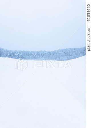 Snowy field 61855660