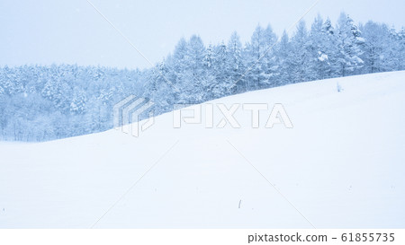 Snowy field 61855735