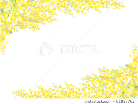 Mimosa frame 61855762