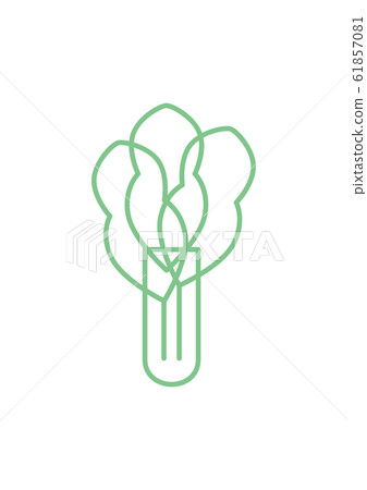Spinach line drawing Spinach line drawing 61857081