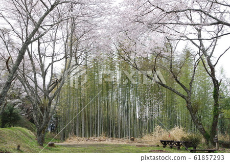 蘆野五嶽山 61857293