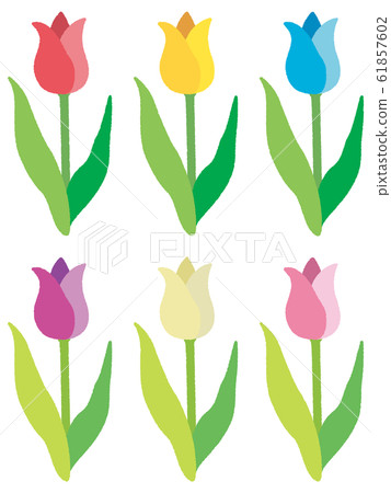 鬱金香 插圖素材 圖庫