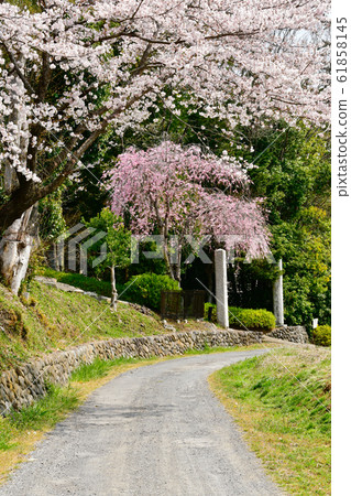 Road of Koma Shotenin Road of Koma Shotenin 61858145