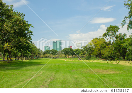 Tropical view of green lawn grass meadow field and trees in public park with city buildings in the background. (Selective focus) Tropical view of green lawn grass meadow field and trees in public park with city buildings in the background. (Selective focus) 61858157