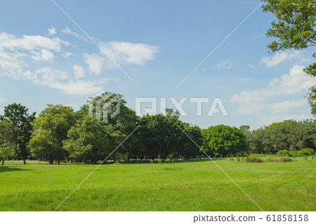 Beautiful of green lawn grass meadow field and trees in public park. Beautiful of green lawn grass meadow field and trees in public park. 61858158
