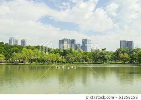 Tropical view of City public park with lake and green trees in background. Tropical view of City public park with lake and green trees in background. 61858159