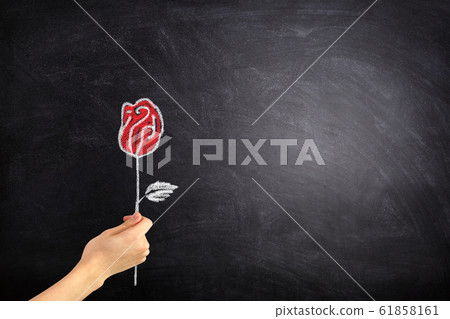 Female hand holding handwriting red rose chalk doodle on chalkboard. Female hand holding handwriting red rose chalk doodle on chalkboard. 61858161