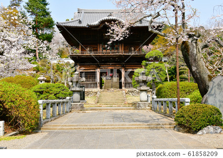 佐藤高音聖殿的櫻花 佐藤高音聖殿的櫻花 61858209